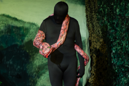 2024 - Kaa in "Das Dschungelbuch"